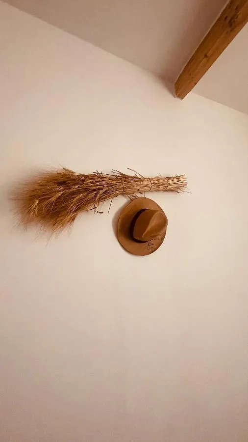 Interno12 Appartement Palermo